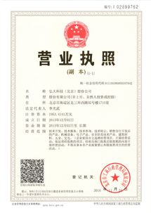 北京弘大科技股份有限公司技术转让策略与发展分析