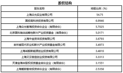 上海信息技术服务公司技术转让项目分析（编号 911209）